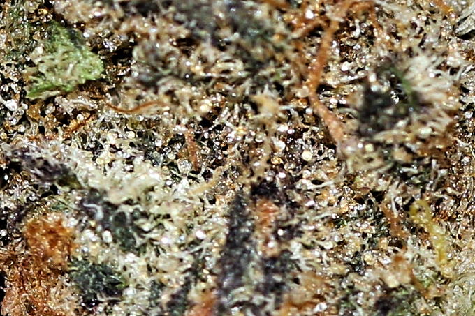 Heavy frost and deep shadow, Super Boof